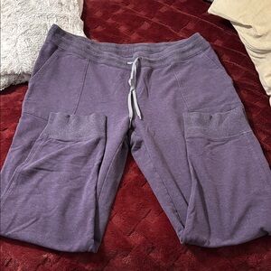 L.L. Bean Dark plum Jogger Pants excellent used condition no issues